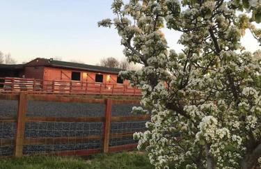 Modern, Stylish lodge with Paddock Views - Foto 20