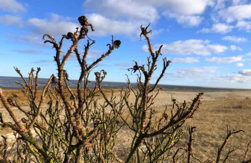 Tief 10 Wattn Watt-Blick 604 - Photo 15