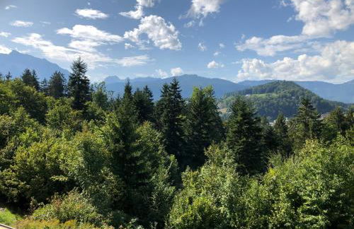 FeWo Waldkauz - Foto 25