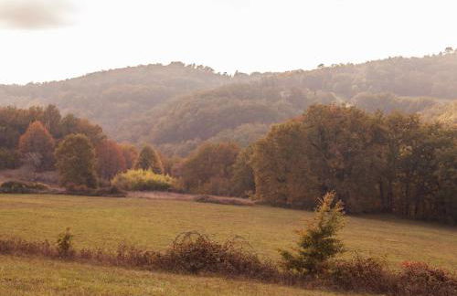 Tranquil Garden Hideaway - Foto 29