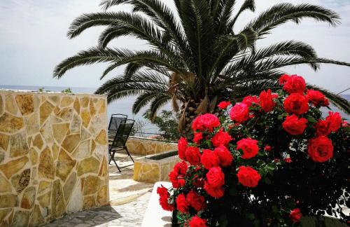 Frini Studios - Photo 9