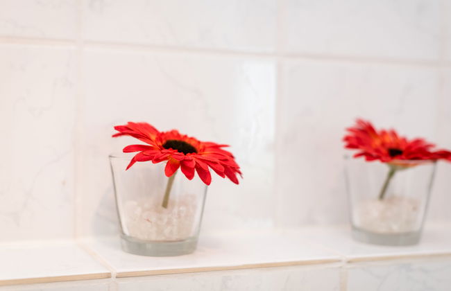 1 bedroom Apartment in Bad Neuenahr-Ahrweiler with garden - Photo 19