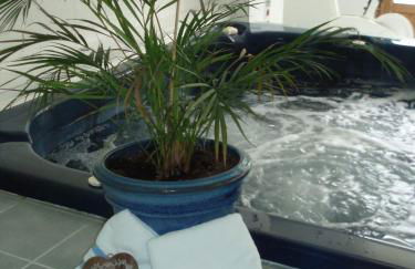 Chalet Beausoleil 4 étoiles - jacuzzi - au pied des pistes - domaine les sybelles - Photo 60