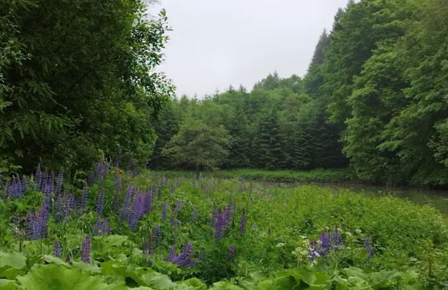 Ebenerdige Wohnung mit Terrasse in Winterberg - Foto 33