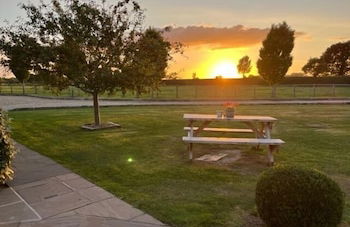 New Farm Holidays - Photo 19