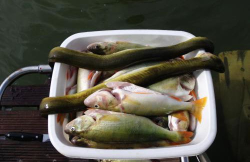 Ferienwohnungen Am Seeufer 11 - Foto 31