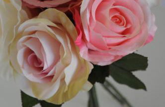 Casinhas da Levada - Foto 26