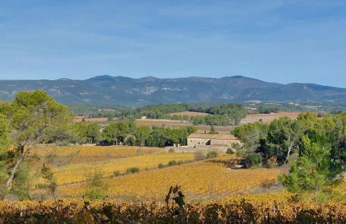 House on winery - Foto 1