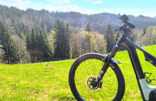 Fewo im Fachwerk mit Bergblick in Alleinlage und großem Garten im Allgäu, Infrarotkabine - Foto 47