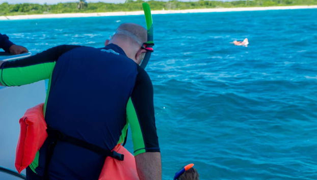 Snorkel in beautiful waters