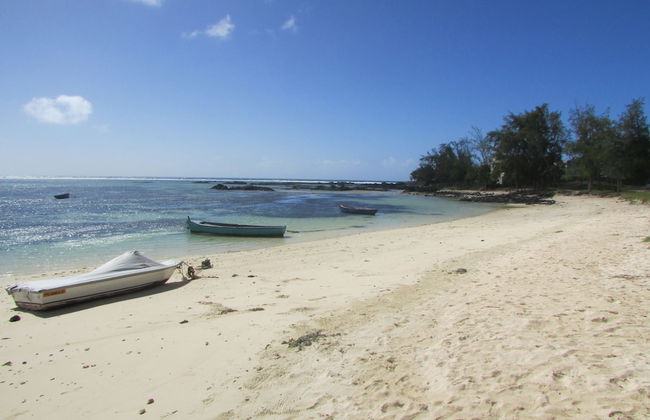 Golden Rod Villa - Foto 30