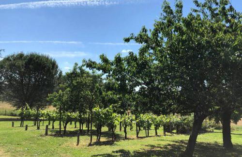 Maison Dream in Marciac - Photo 18