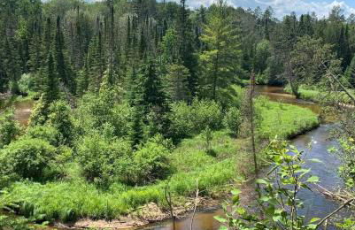 TreeTops Ayframe, Supersized AFrame on the River with Hot Tub - Foto 40