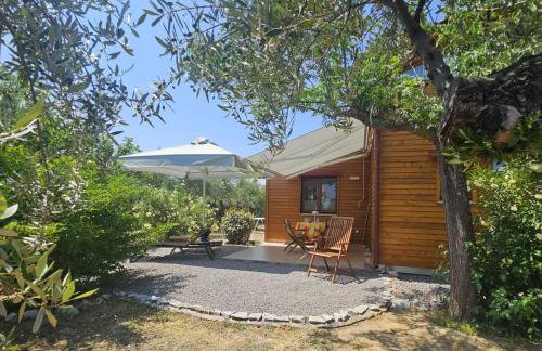 Ktirakia Studios - Foto 1