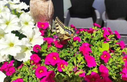 Apartments Giovannini - Foto 32