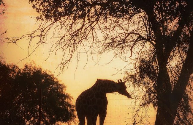 Blue Hills Ranch - Foto 73