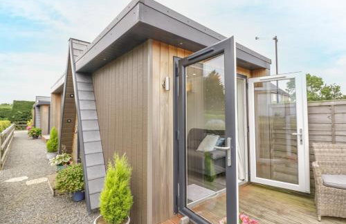 Alstroemeria - Photo 13