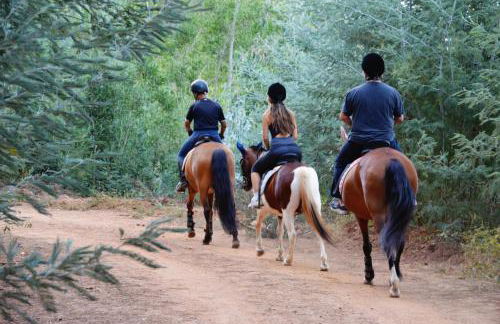 Apartamento Equitare Rural na Serra de Lousã - Foto 19