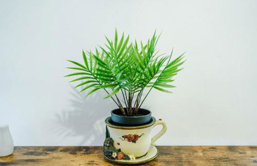 Charming Grade II Listed Apartment, Sleeps 4 in Shropshire - Foto 40