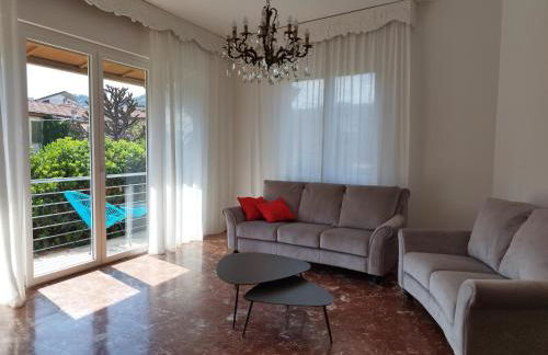 Helianthus - Photo 46