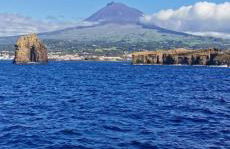 Azores Blue Bay - Photo 23