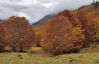 Apartamento Riglos Candanchu - Photo 24