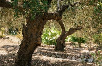 Villa Nora - Photo 49