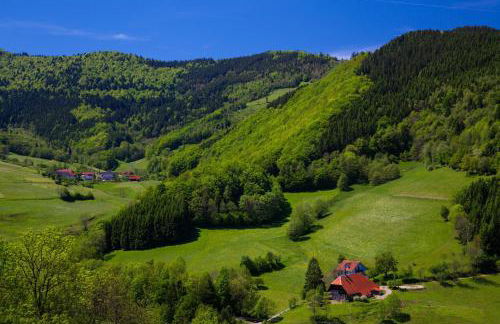 Fewo Blumenweg - Foto 29