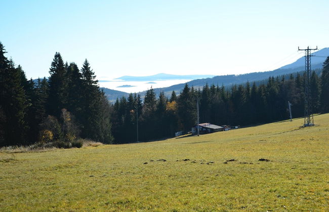 Cozy Forest Adventure Stay - Foto 34