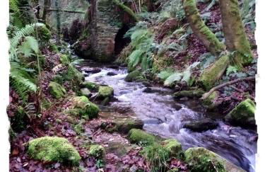 Casa Rural Lar de Sanxes - Foto 39