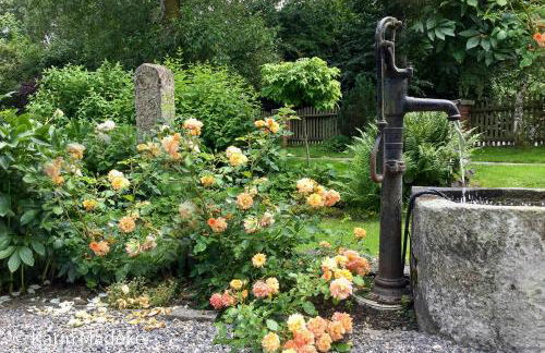 Design Ferienwohnung mit Bauerngarten - Foto 32