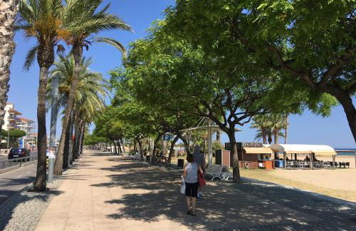 Apartments Gran VP - Foto 44