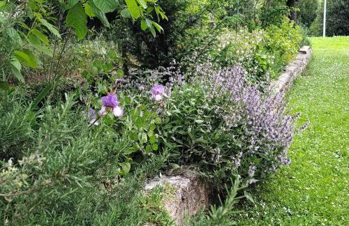 Spacious apartment QuAdria near Motovun - Foto 47