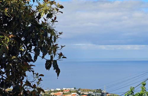 Jose & Idalina House - Foto 35