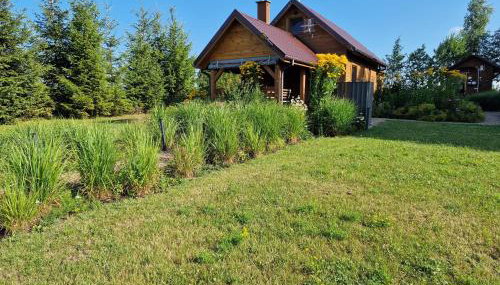 Wilkiejmy wieś ma wzgórzu - Foto 4, Garden