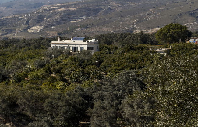 Casa Jardin De Los Limones - Photo 54