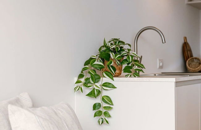 Comfortable Apartment Near the sea - Foto 14