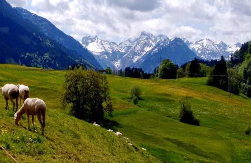 Ferienwohnungen Leiner - Foto 21