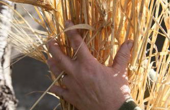 Melina's House - Foto 34