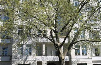 Nofa Apartments - Altbau Apartments am Kudamm - Foto 67