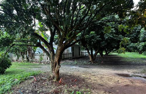 Maria's Farm House - Foto 62