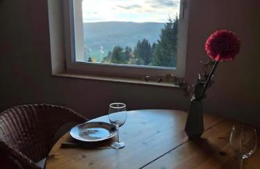 Schwarzwaldblick Rothaus - Photo 41