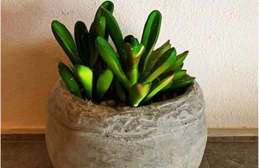 Ca' Berti Teglio - Foto 14