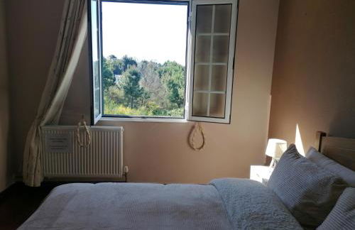 Abrigo do Monte - Foto 21