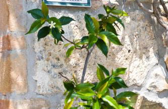 I Pianelli - Foto 50