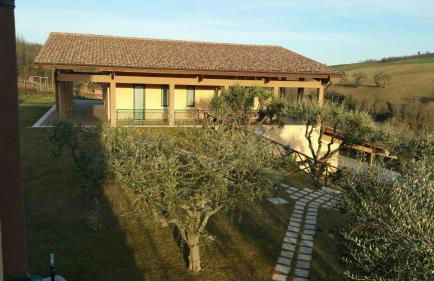 Le Vigne di Clementina Fabi - Foto 40