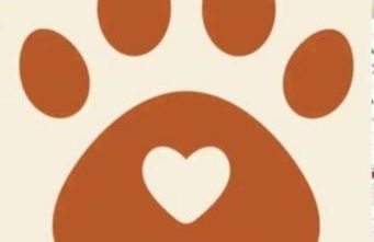 Bonito estudio en el centro. Ideal parejas. - Foto 17