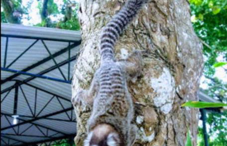 Casa em condomínio Angra - Foto 8