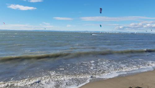 La petite Camargue - Foto 4