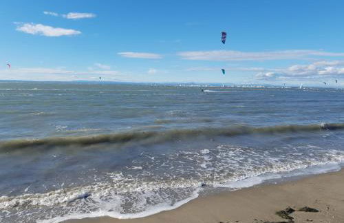 La petite Camargue - Foto 4